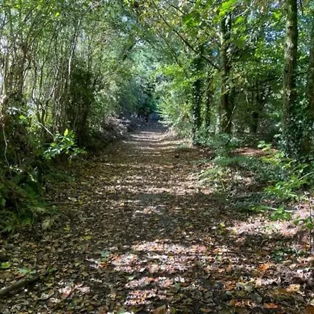 The Greenacre House, Carrow, Dualla, Cashel, County Tipperary E25t672 Prázdninový dům Cashel (Tipperary)