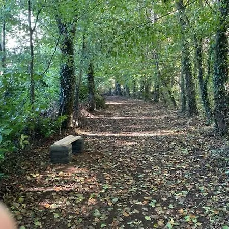 The Greenacre House, Carrow, Dualla, Cashel, County Tipperary E25t672 * Cashel (Tipperary)