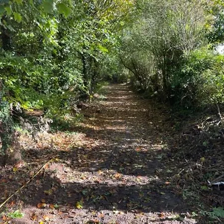 Dom wakacyjny The Greenacre House, Carrow, Dualla, Cashel, County Tipperary E25t672