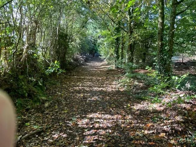 The Greenacre House, Carrow, Dualla, Cashel, County Tipperary E25t672 Casa vacanze Cashel (Tipperary)