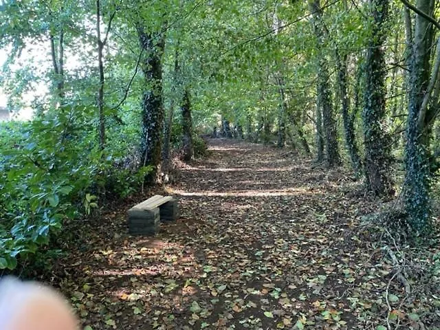 The Greenacre House, Carrow, Dualla, Cashel, County Tipperary E25t672 * Cashel (Tipperary)