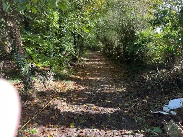 Casa vacanze The Greenacre House, Carrow, Dualla, Cashel, County Tipperary E25t672